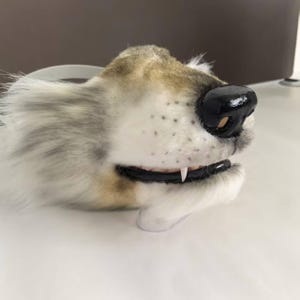 May include: A wolf mask with a black nose, white fur, and visible teeth. The mask has a realistic design with grey and white fur, and a white strap.