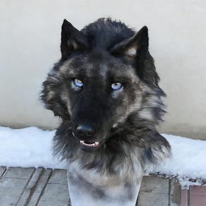 Puede incluir: Una máscara de lobo realista con pelaje grueso y texturizado en negro y gris, orejas puntiagudas y llamativos ojos azul claro. La máscara tiene una nariz negra y la boca ligeramente abierta que muestra dientes blancos, cubriendo cabeza y cuello.