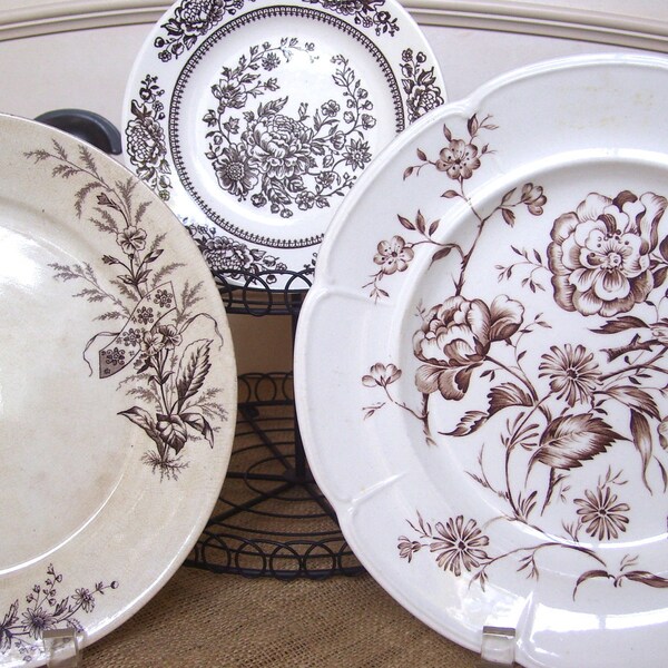 A Trio of Brown and Ivory Vintage Plates - An Instant Collection