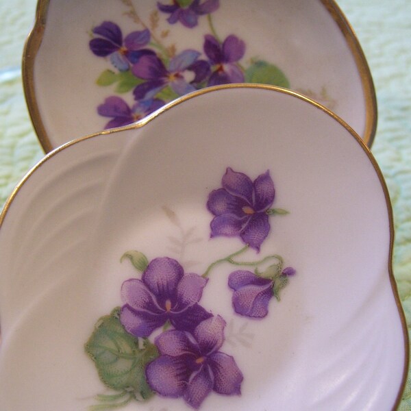 A Pair of Violet Schwarzenhammer Dresser Dishes