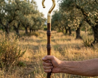 Indian Rosewood Crozier Staff | 61cm Ceremonial Shepherd's Crook with Brass Hook (Detachable)