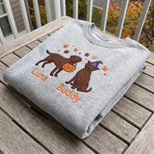 Moletom personalizado com bordado de Halloween para Labrador Chocolate, estampa de bruxa Labrador marrom com abóbora, presente perfeito para mães de cachorro na época do Halloween.