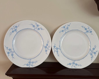 2 Spode Copeland "Blanche De Chine" GEISHA Piatto da portata azzurro chiaro 10 7/8