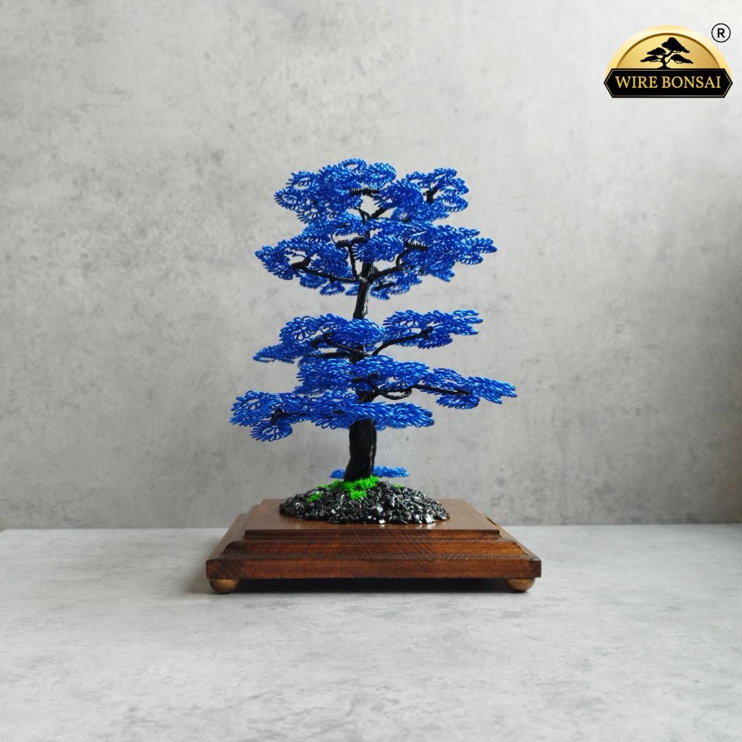 ficus ginseng bonsai formen Chinesische Feige 'Ficus Ginseng Bonsai'