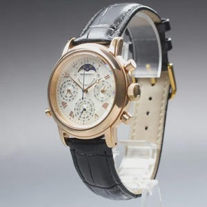 Near MINT SHELLMAN Grand Complication Premium 6771-T011179TA Qz Mens Watch image 7