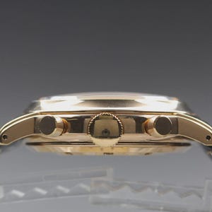 Near MINT SHELLMAN Grand Complication Premium 6771-T011179TA Qz Mens Watch image 4