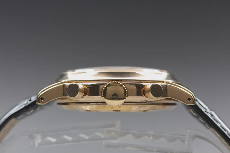 Near MINT SHELLMAN Grand Complication Premium 6771-T011179TA Qz Mens Watch image 4