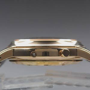 Near MINT SHELLMAN Grand Complication Premium 6771-T011179TA Qz Mens Watch image 5