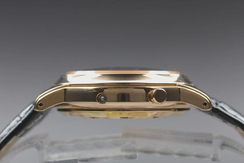 Near MINT SHELLMAN Grand Complication Premium 6771-T011179TA Qz Mens Watch image 5