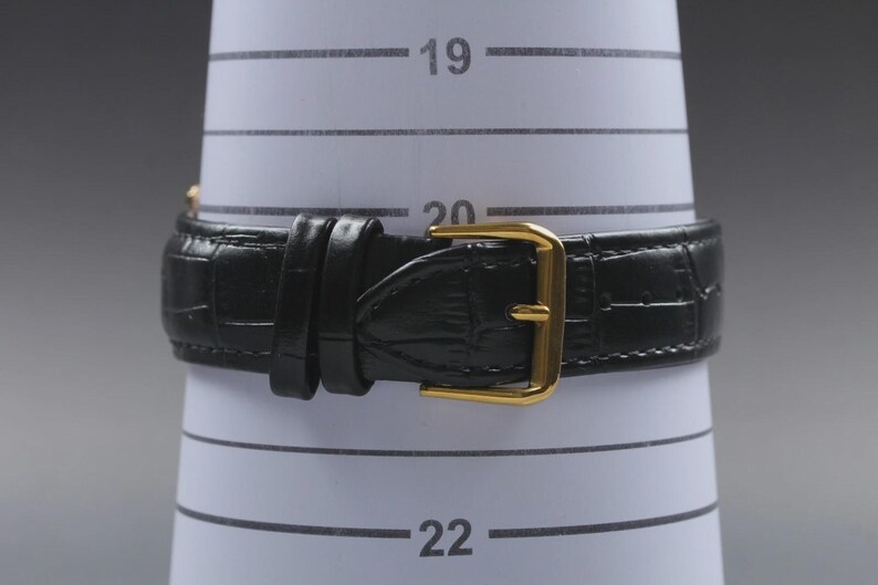 Near MINT SHELLMAN Grand Complication Premium 6771-T011179TA Qz Mens Watch image 9