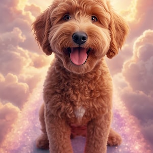 Op de afbeelding: Een vrolijke, lichtbruine hond met een pluizige vacht en een roze tong zit op een pad omringd door wolken. De hond glimlacht, met zijn mond open. De achtergrond toont een lucht met zonnestralen.