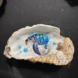 Tortuga marina azul en red de pesca, plato decorativo de concha de ostra con base de concha