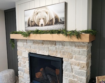 Rustic Fireplace Mantel 5x7