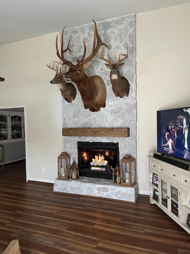 May include: A stone fireplace featuring a wooden mantel, a gas fire insert, and three taxidermy animal mounts displayed above. Two wooden lanterns with candles sit on the stone hearth, while a television is positioned to the right side.