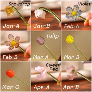 May include: A collection of glass flower sculptures, each with a different design and color, including a snowdrop, violet, and tulip. Each flower is attached to a green stem. The text "Snowdrop", "Violet", "Tulip", and "Sweet Pea" are visible.