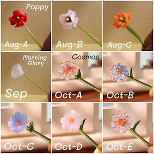 May include: A collection of glass flower sculptures in various colors, including red, purple, orange, and blue. Each flower is mounted on a green stem. The image includes text labels such as "Poppy," "Morning Glory," and "Cosmos."