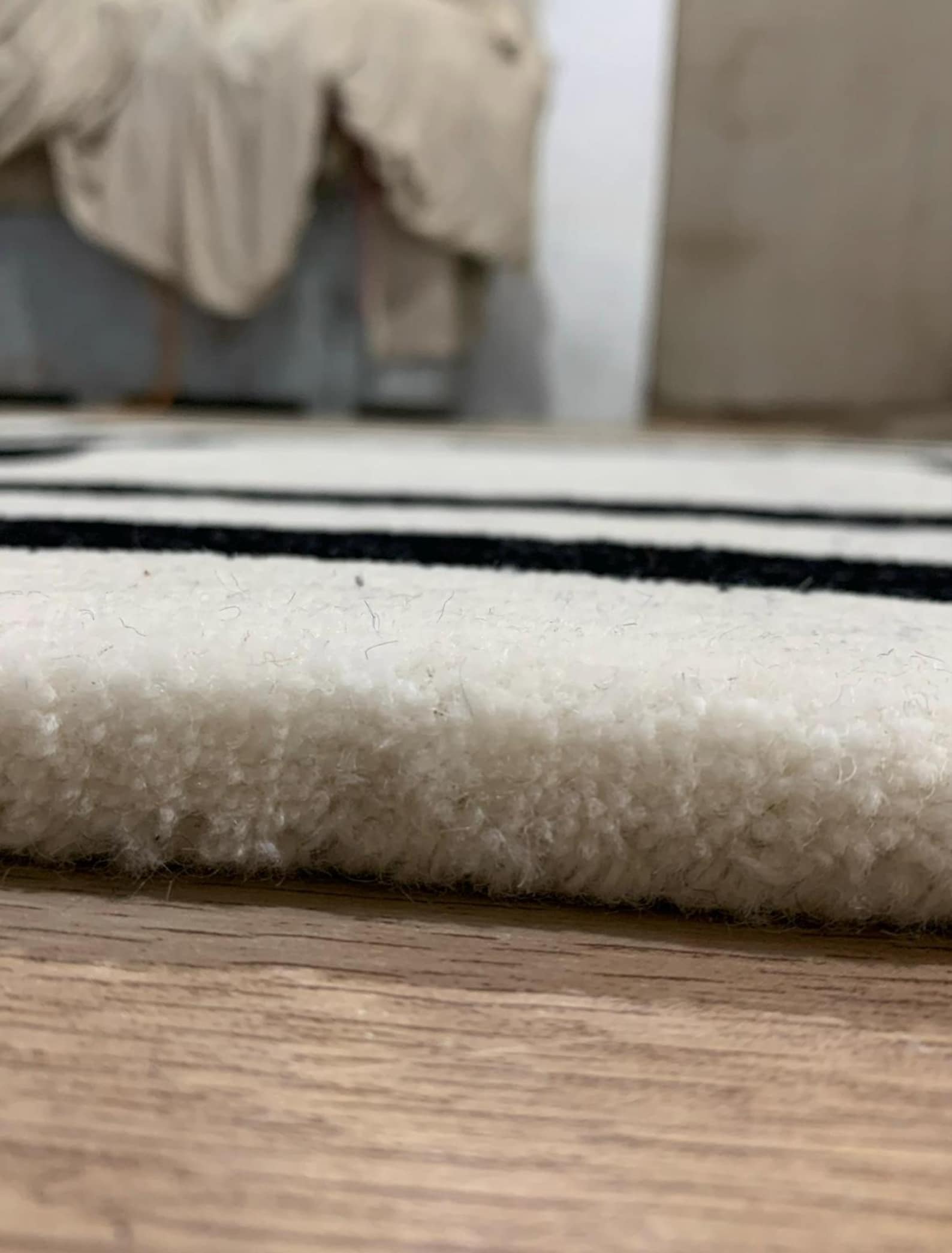 Rug Frameborder Luxury Ivory Area Rug With Black Frame Border | Modern Neutral Living ...