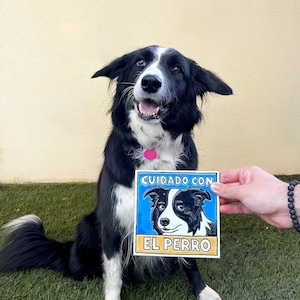 Può includere: Una piastrella quadrata in ceramica con un'illustrazione dipinta a mano di un border collie bianco e nero. La piastrella ha uno sfondo blu con il testo CUIDADO CON EL PERRO in lettere nere su una fascia gialla in basso e blu in alto.