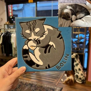 Puede incluir: Un azulejo cuadrado de cerámica azul con una ilustración en relieve de un gato atigrado gris y blanco durmiendo enroscado en círculo. El nombre BOLIN está grabado en la esquina inferior derecha. Una foto insertada muestra a un gato real.
