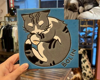 May include: A square blue ceramic tile featuring a raised, stylized illustration of a sleeping grey and white tabby cat curled into a circle. The name BOLIN is embossed in the bottom right corner. An inset photo shows a real cat in the same pose.