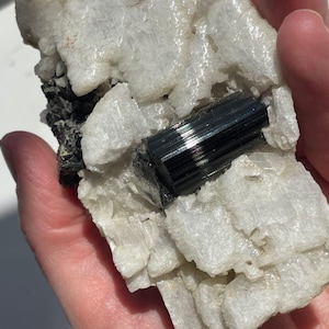 Svart turmalin i vitt albitprov, Schorl-kristall i fältspatmatris, EMF-skyddssten, rått naturligt mineral