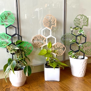 May include: Three plant trellises with a geometric design. Each trellis features a black or white hexagonal frame with decorative leaf cutouts in green and tan. The trellises support potted plants with green foliage, displayed in white pots.
