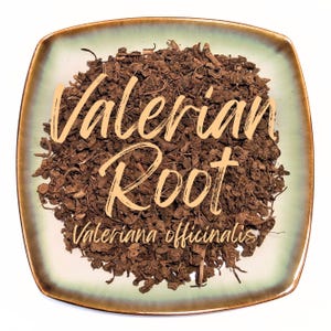 May include: A square, light green and brown-edged ceramic dish filled with dried, brown Valerian Root. The words "Valerian Root" are written in a cursive, light brown font across the top of the dish, with "Valeriana officinalis" below.