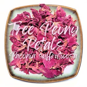 May include: A square, ceramic dish with a gold rim filled with dried, pink tree peony petals. The words "Tree Peony Petals" and "Paeonia suffruticosa" are written in white script across the image.
