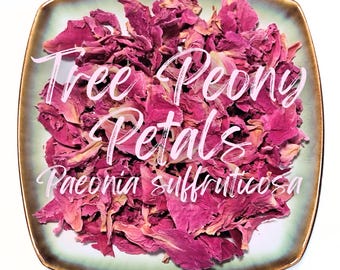 May include: A square, light green and gold-rimmed dish filled with dried pink tree peony petals. The words "Tree Peony Petals" and "Paeonia suffruticosa" are written in white script across the image.