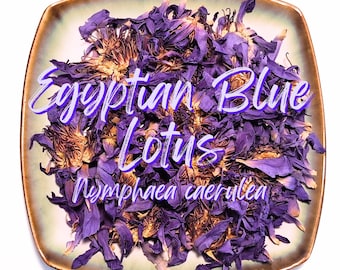 Flores secas de loto azul egipcio - Flor seca orgánica a granel - Flores sueltas para infusiones - Nymphaea caerulea
