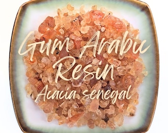 Gum Arabic - Organic Dried Resin - Acacia Senegal - Bulk Natural Acacia Gum Resin for Culinary & Baking
