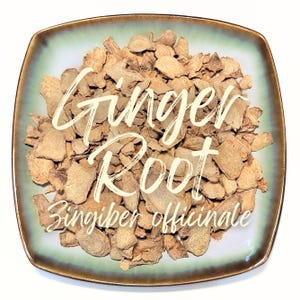 May include: A square plate with a light green and gold rim, filled with dried ginger root. The words "Ginger Root" are written in a cursive font across the center of the image, with "Zingiber officinale" below.