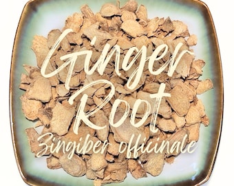 Raiz de gengibre seca - Zingiber officinale - Fatias de raiz seca orgânica - Erva a granel para chá de ervas