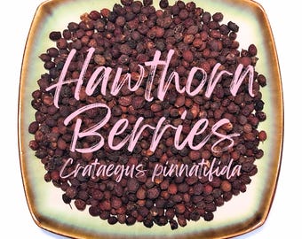 Getrocknete Weißdorn Beere - Bio Trockenobst - Crataegus pinnatifida - Lose Beeren für Kräutertee
