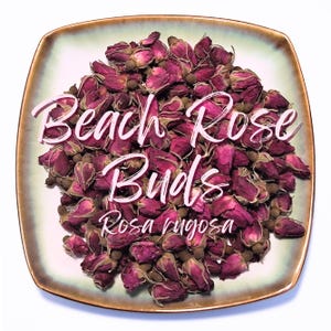 Könnte beinhalten: Ein quadratischer Teller mit hellgrünen und braunen Rändern, gefüllt mit getrockneten, tiefrosa Rosenknospen. Der Text "Beach Rose Buds" und "Rosa rugosa" ist in weißer Schrift auf dem Bild zu sehen.