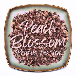 May include: A square, green-rimmed plate filled with dried peach blossoms. The words "Peach Blossom Prunus persica" are written in a light pink script across the center of the plate. The blossoms are a mix of brown and pink.