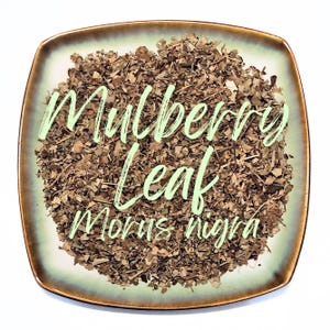 Könnte beinhalten: Ein quadratischer Keramikteller mit braunem Rand und hellgrünem Innenraum, gefüllt mit getrockneten, braunen Maulbeerblättern. Die Worte "Mulberry Leaf Morus nigra" sind in hellgrüner Schreibschrift geschrieben.