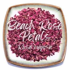 Op de afbeelding: Een vierkant bord met een lichtgroene en goudkleurige rand, gevuld met gedroogde, dieproze Beach Rose bloemblaadjes. De woorden "Beach Rose Petals" en "Rosa rugosa" zijn in witte letters over de bloemblaadjes geschreven.