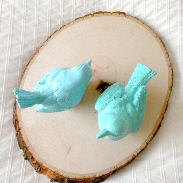 Robins Egg Blue Decorative Birds