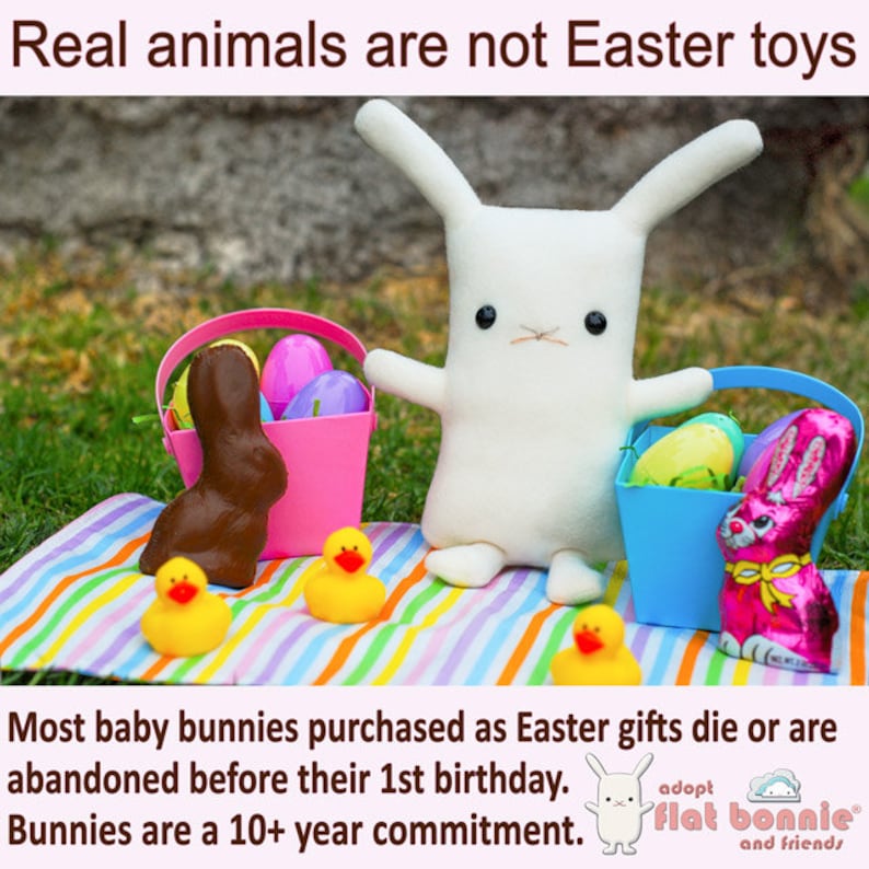 May include: A white stuffed bunny rabbit sits on a striped blanket with two yellow rubber duckies and two baskets filled with chocolate and candy eggs. The text "Real animals are not Easter toys" is at the top of the image. The text "Most baby bunnies purchased as Easter gifts die or are abandoned before their 1st birthday. Bunnies are a 10+ year commitment." is at the bottom of the image. The text "adopt flat bonnie and friends" is also at the bottom of the image.
