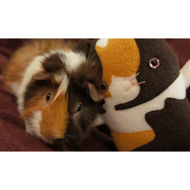 Custom Guinea Pig stuffed animal Personalized pet memorial Etsy