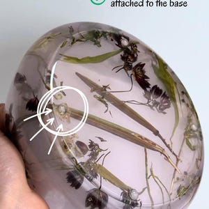 May include: A round, translucent, light purple resin bowl embedded with dried dark purple flowers and green stems. The base features small, clear anti-scratch pads, as indicated by the text "with anti-scratch pads attached to the base."