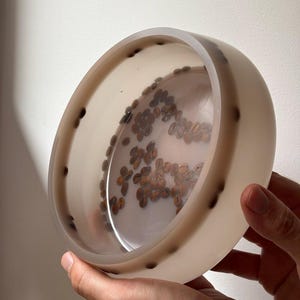 May include: A circular, translucent off-white resin bowl featuring embedded dark brown roasted coffee beans. The beans are arranged in a scattered pattern within the base and along the interior side walls of the bowl, creating a visible contrast.