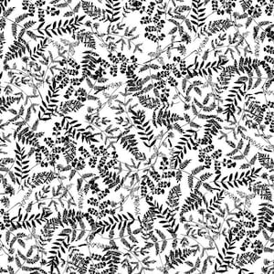 Better Basics - Fern Leaves Black White by Kanvas Studio from Benartex Fabric