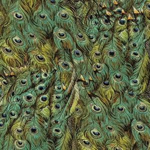 Peacock Arbor - Peacock Feathers from David Textiles