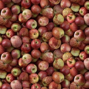 Packed Apples Red from Timeless Treasures Fabric