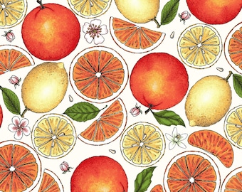 Fancy Fruit - Citrus Cream by Kris Lammers from Maywood Studio Fabric