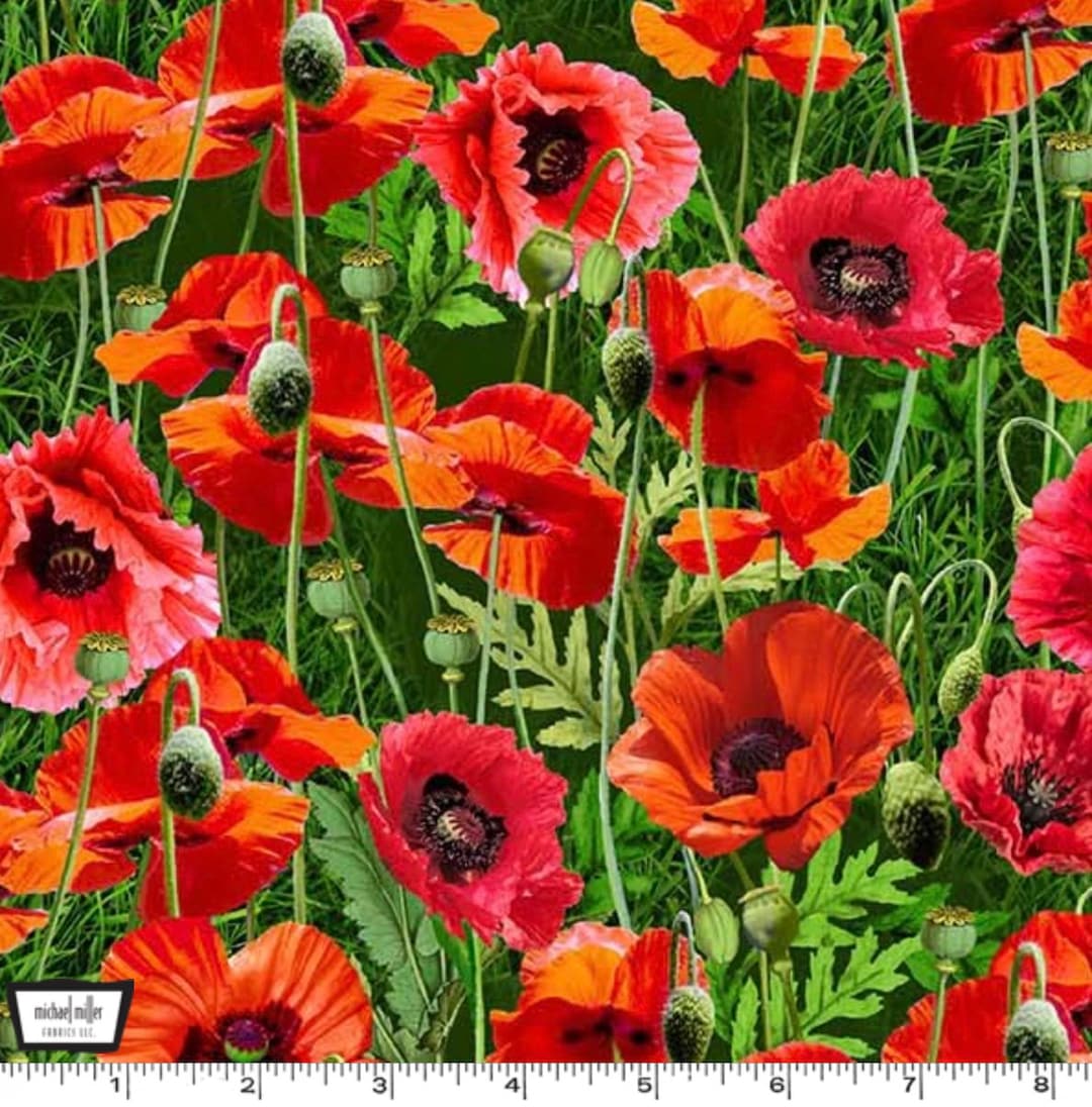 Ruby Poppies Summer Wildflowers - Chatty Poppy Ruby From Michael Miller Fabric - Etsy