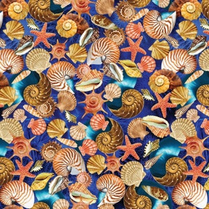 Oceana - Shells Multi from Kanvas Studio Fabric