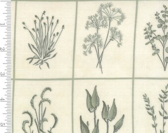 Prairie Grass - Plants Milkweed Grass Lt Green by Holly Taylor from Moda Fabrics